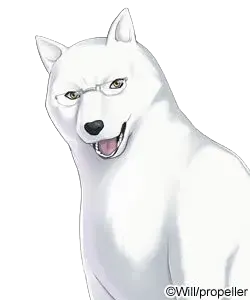保罗·奇内奇塔·朱尼尔