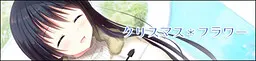 クリスマス*フラワー