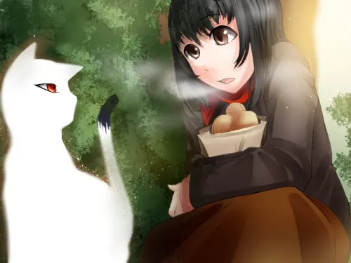ゆうぐれ、よなか、あしたのあさひ