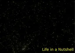 Life in a Nutshell