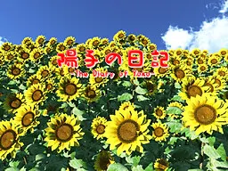 陽子の日記