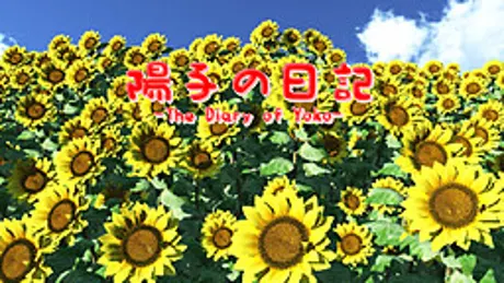 陽子の日記
