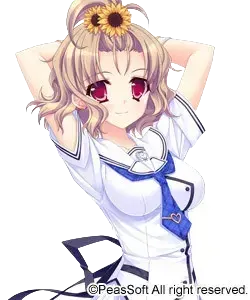 金剛伊佐美