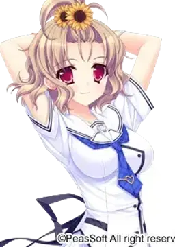 金剛伊佐美