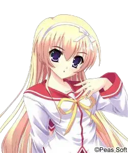 望月司