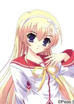 望月司