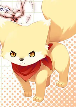 プッチ