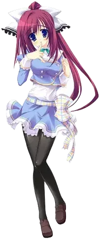 豊姫みのり