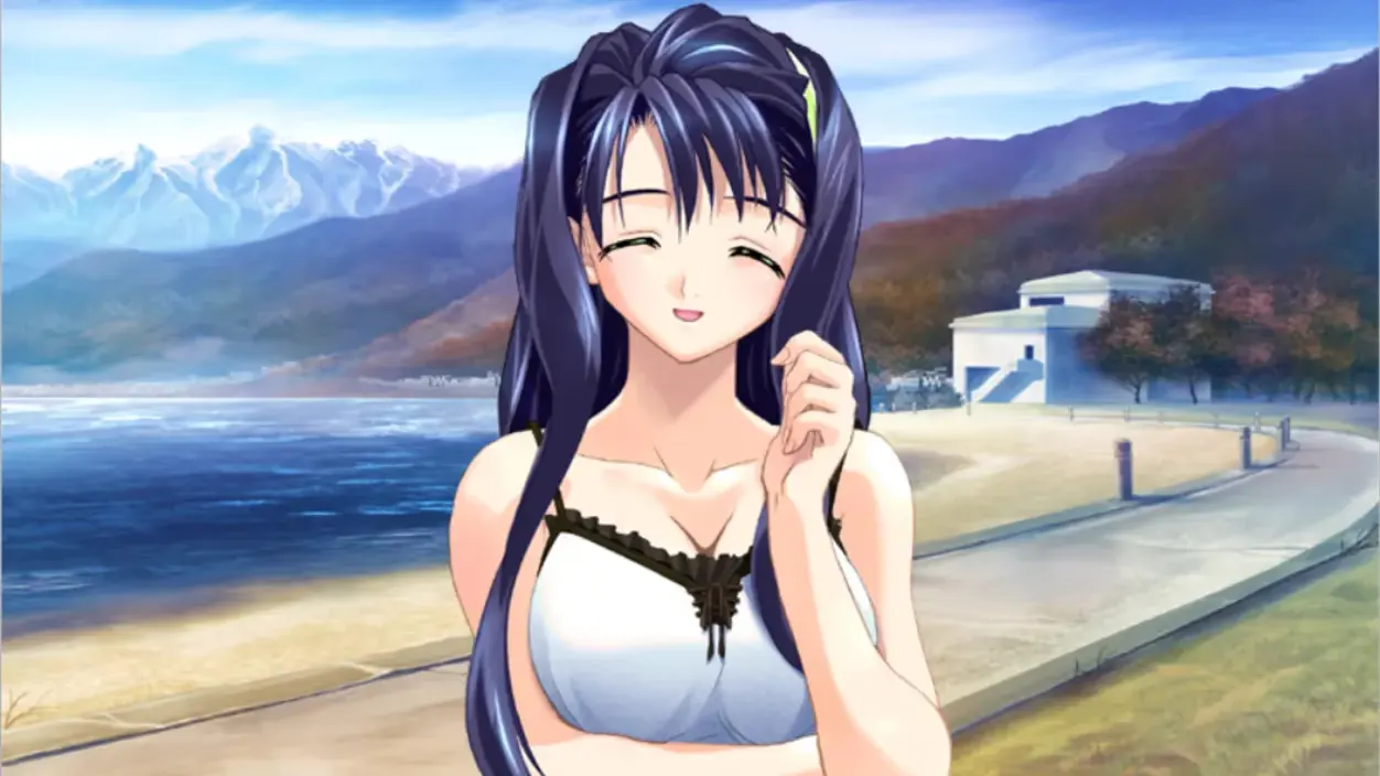 あねいも ～夏の残照～