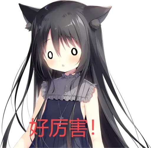 诺瓦最可爱了-1724333873602-listdernoir12webppng