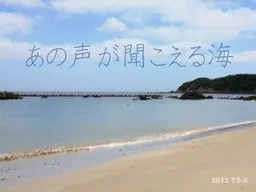 あの声が聞こえる海