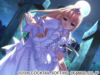 07903132