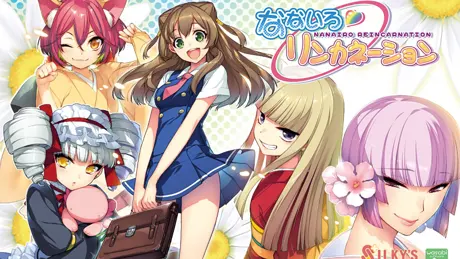 Series Banner 1
