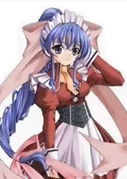セルニー・フィール