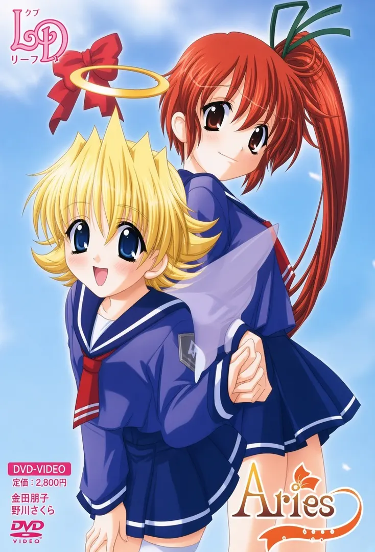 Aries -白羊-