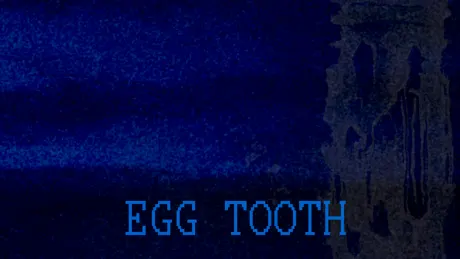 EGG TOOTH