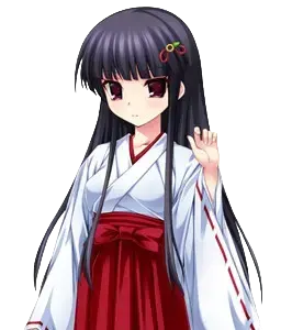 月白桜花
