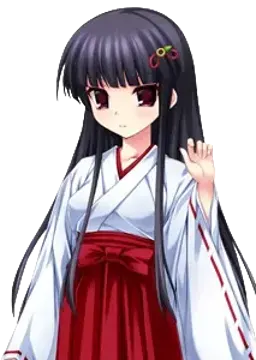月白桜花