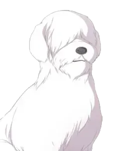 シュトラス