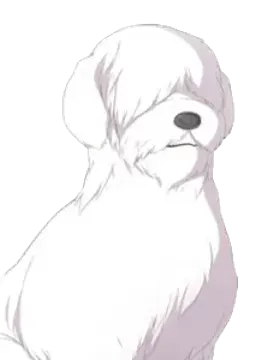シュトラス