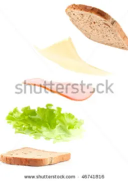 Stock Photo Of A Duck