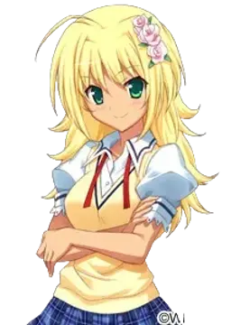 夏目向日葵