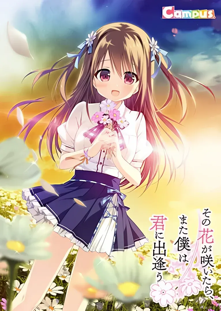 此花绽放季,与君重逢时