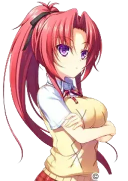 竜胆 瑠璃