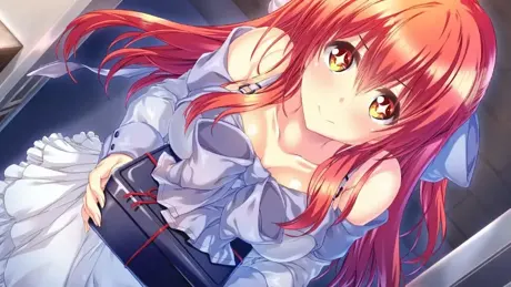 闇染Liberator －闇堕ち勇者と堕ちる戦姫－