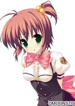神楽坂 椿姫