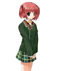仓本圆