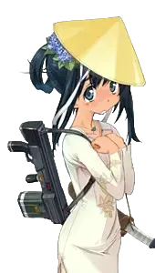 菲姆·贝科