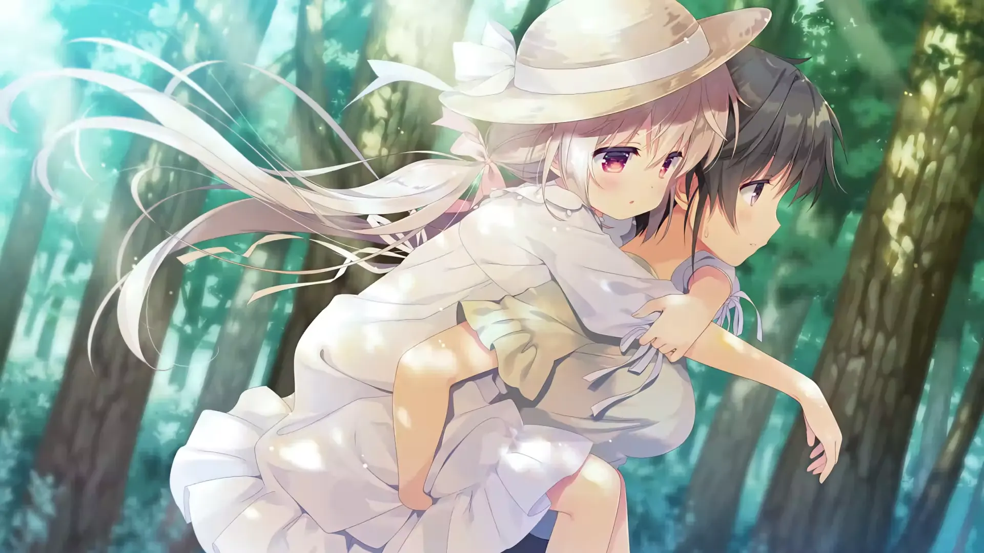 如何通过 VNDB 检索 Galgame?