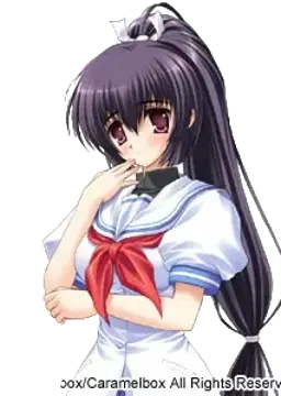 亜多良 巫鳥