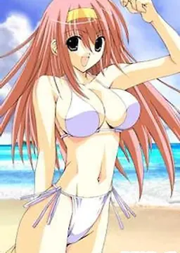 大淀夏海