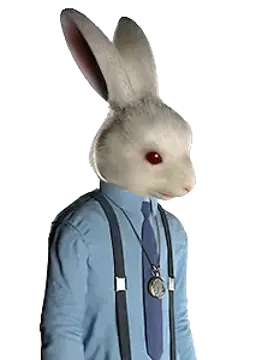 シロウサギ