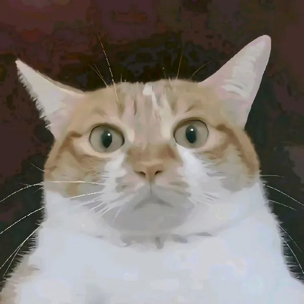 有点咸的鱼某人