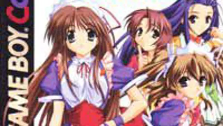 Series Banner 3