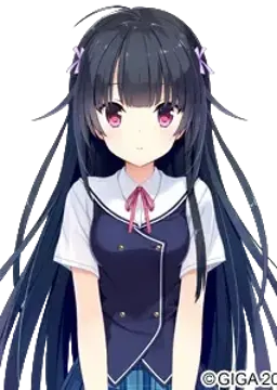 緋野 瞳