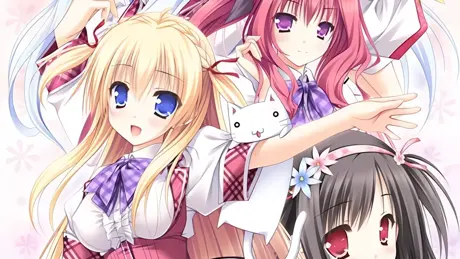 花色ヘプタグラム