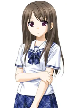 浅葱遥