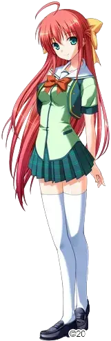 上月樱