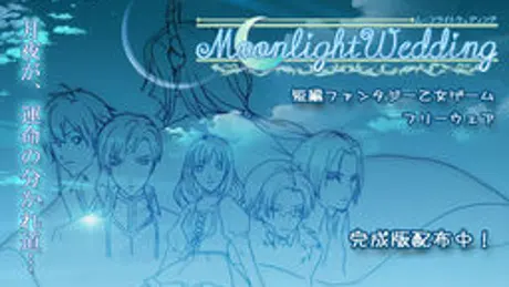 Moonlight Wedding