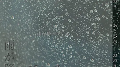 雨が降っている。