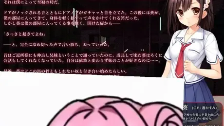 妹寝取り～身も心もお兄ちゃんのモノ～