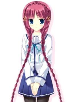 江戸川 四季
