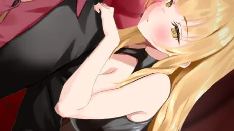 Series Banner 1