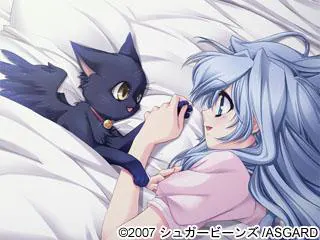 12884643