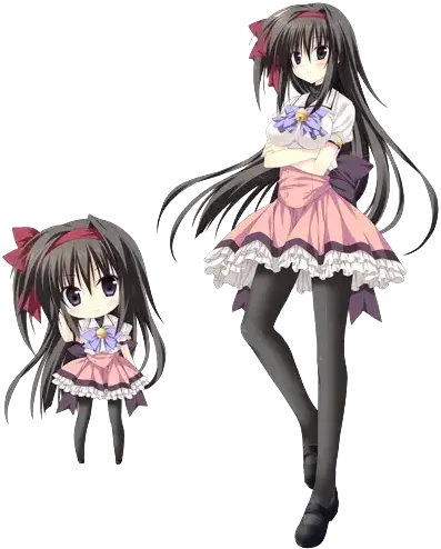 白神 姫百合