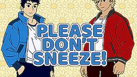 Please Don't Sneeze!